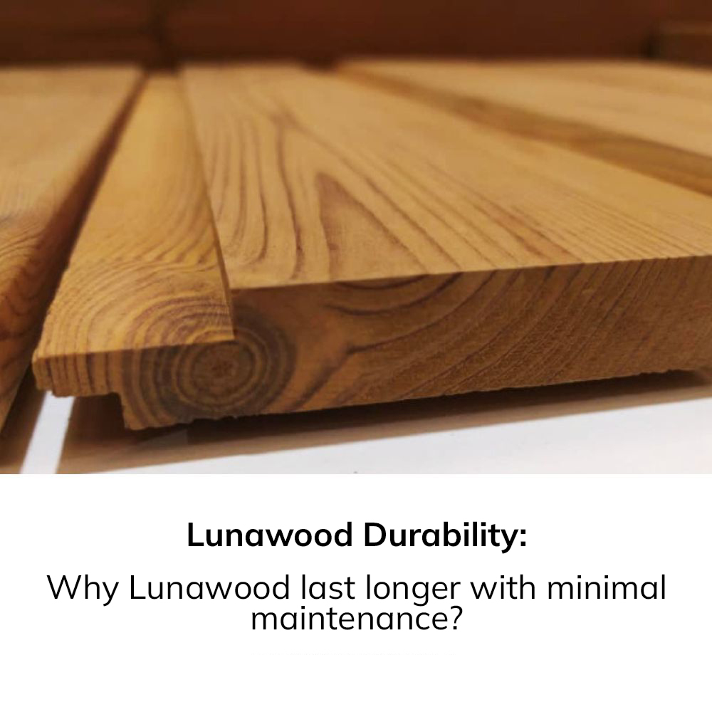 Aesthetically Timeless Look